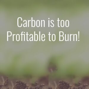 Carbon is too valuable to burn!